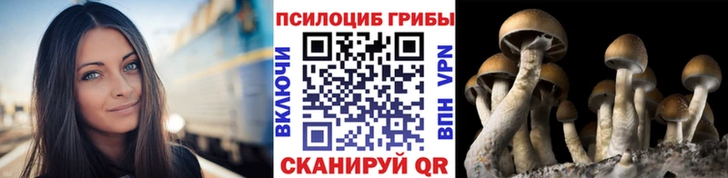 купить наркотики цена  Бирск  Псилоцибиновые грибы Cubensis 